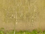 image of grave number 44014